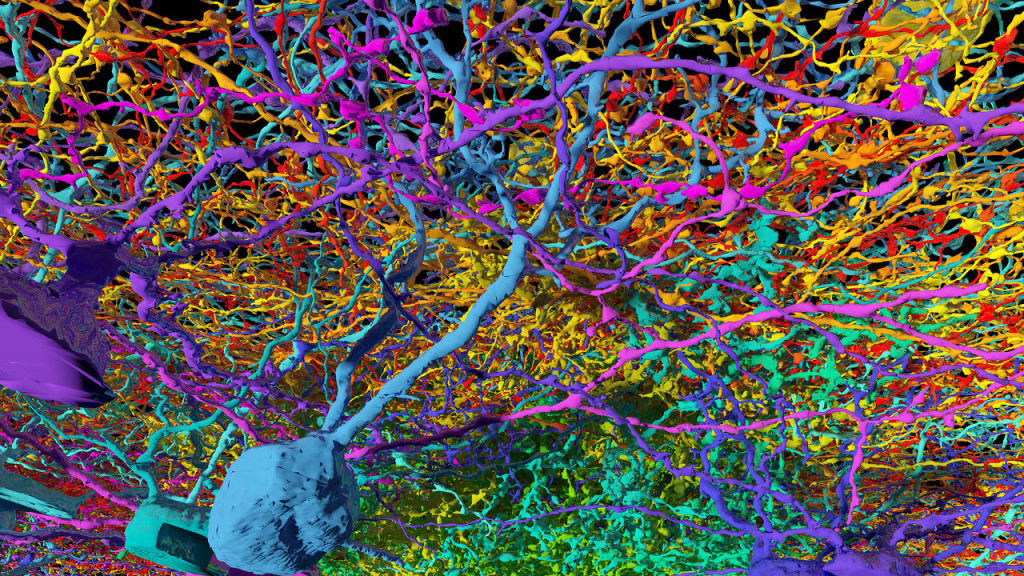 3052125-poster-p-1-brain-science-is-a-blank-canvas-for-innovation